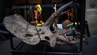Crânio de um tricerátopo sendo levado para uma galeria onde será exposto antes de sua venda em leilão na casa de leilões Drouot. em outubro. - "Big John", o maior tricerátopo conhecido, com mais de 66 milhões de anos e um esqueleto de 8 metros de comprimento, está em exibição em Paris até 20 de outubro, quando será leiloadoAFP