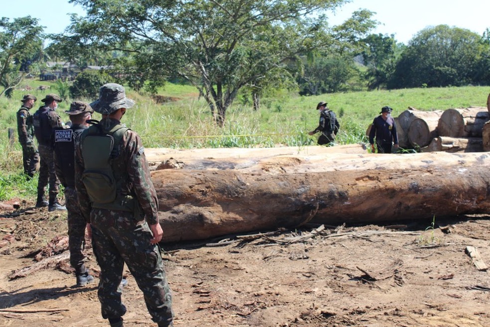 Operação Verde Brasil 2 já resultou em 12 mil m³ de madeira irregular apreendidos e R$ 44 milhões em multas aplicadas. — Foto: Diêgo Holanda/G1