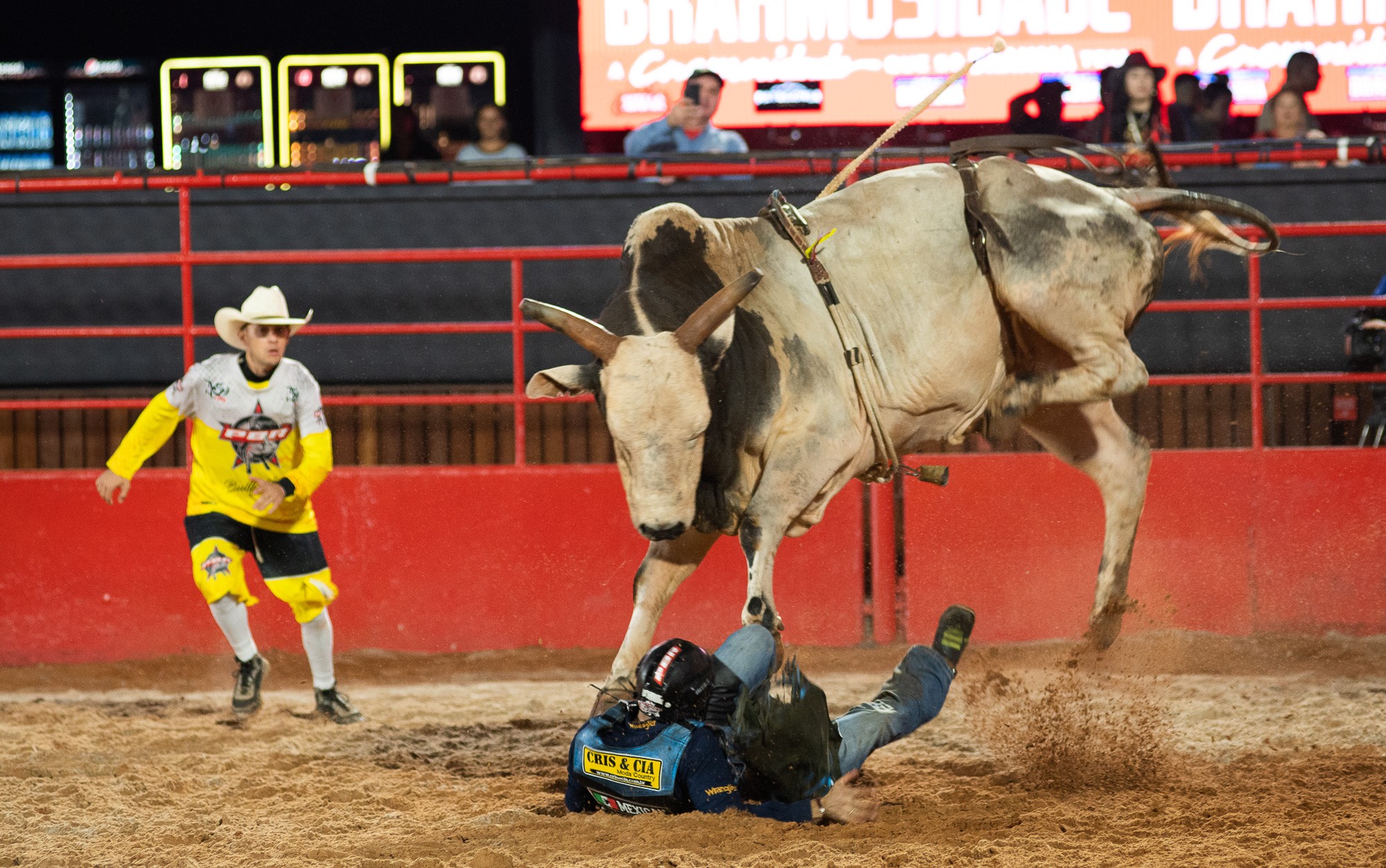 Primeira noite de provas da Festa do Peão de Barretos, SP, tem disputa por título da Professional Bull Riders 