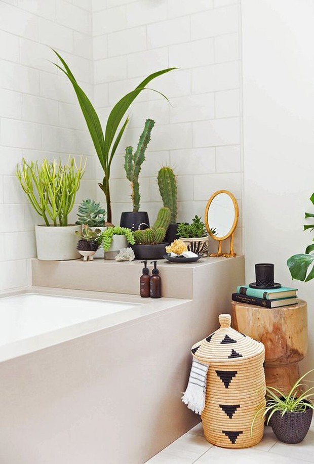 plantas-no-banheiro-tendencia-dicas-como-decorar-pinterest-inspiracao (Foto: Reprodução/Pinterest)