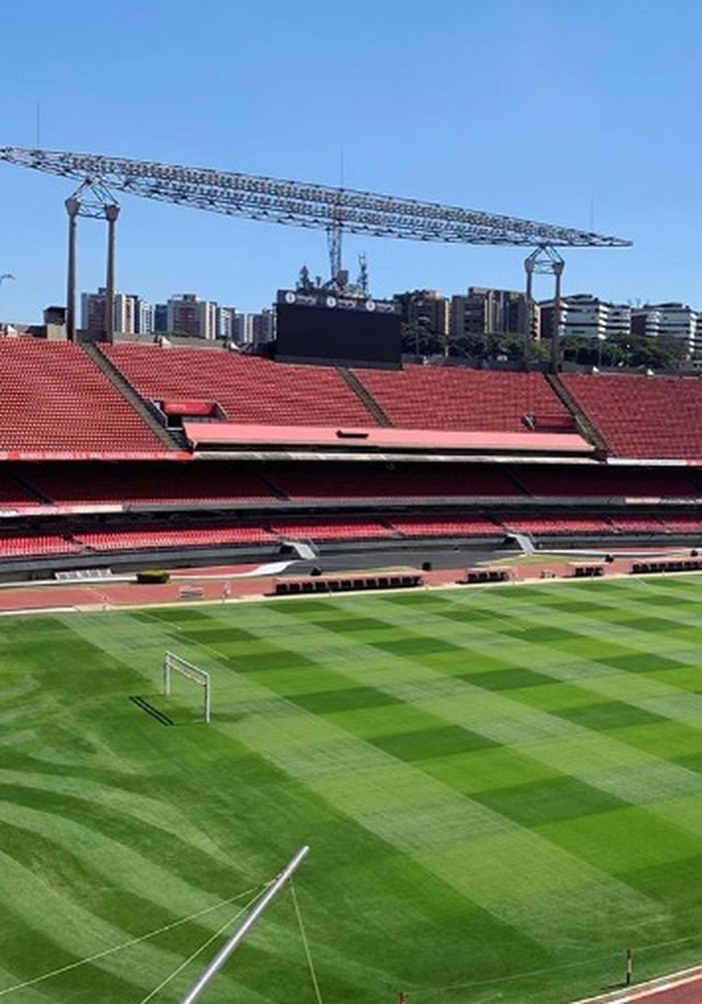 São Paulo fez plantio do gramado de inverno no estádio do Morumbi — Foto: Divulgação / São Paulo FC