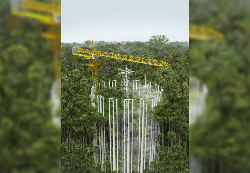 96 torres de 35 metros de altura, ultrapassando a copa das árvores, e divididas em seis “complexos” em forma de círculo serão instalados na Amazônia por meio da parceria entre Brasil e Reino Unido (Foto: Reprodução/Unicamp)