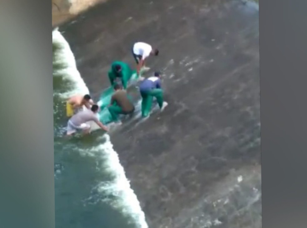 Açude Gavião localizado na cidade de Pacatuba, a Grande Fortaleza. — Foto: Reprodução/TV Verdes Mares