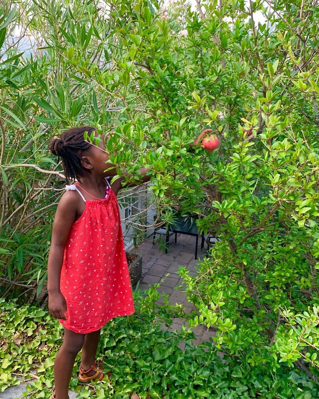 Foto de Jackson com vestido colhendo frutas compartilhada por Charlize Theron no fim do ano passado (Foto: Reprodução Instagram)