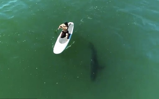 Orlando Bloom surfa ao lado de tubarão: "Quando medo se torna seu amigo"