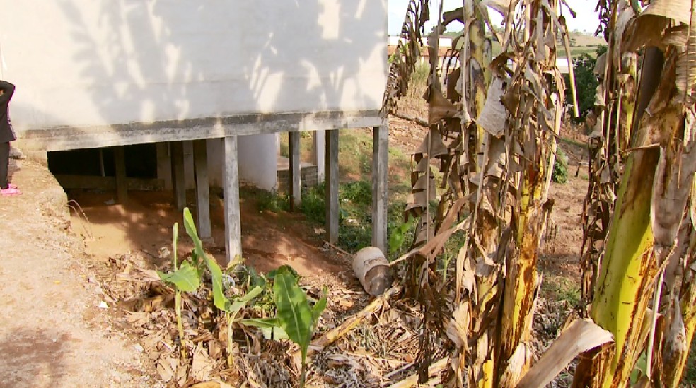 Corpo de radialista foi encontrado em terreno debaixo de uma casa em Cana Verde (Foto: Reprodução EPTV)
