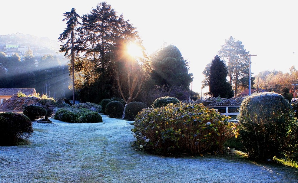 Com -0,5°C e geada, Campos do Jordão registra temperatura ...