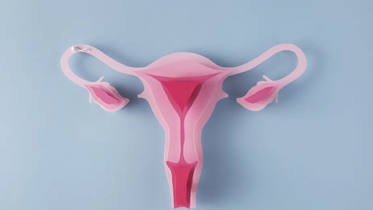 Estado do Rio poderá realizar cirurgias para tratamento da endometriose
