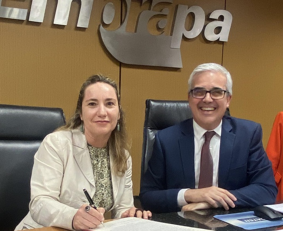 Avec plus de femmes à la direction, Embrapa nomme un nouveau directeur commercial |  Agro leur appartient