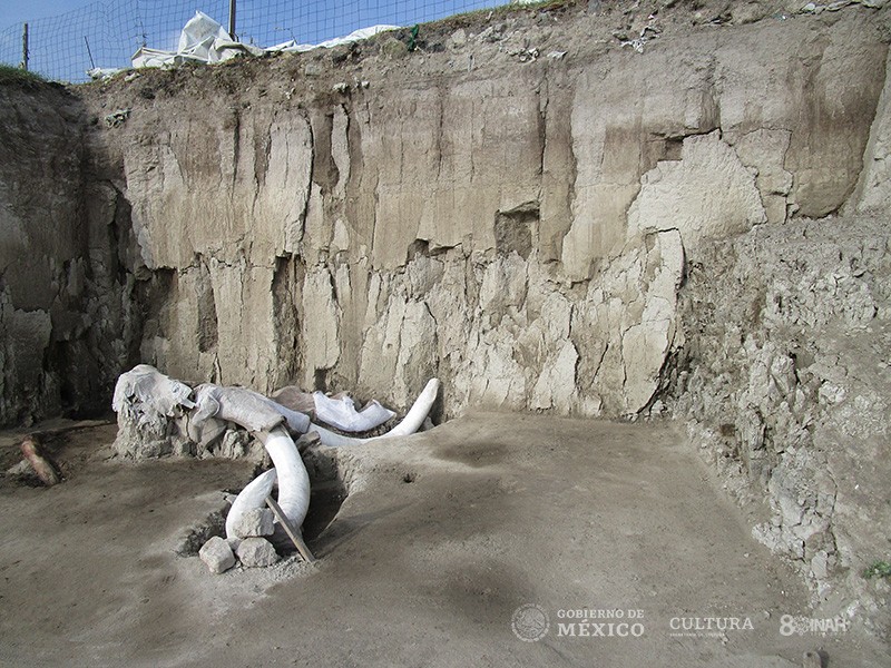 Fósseis foram descobertos em circuito de armadilhas criado por caçadores da época (Foto: Edith Camacho, INAH)