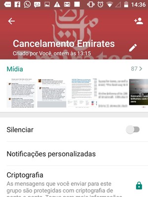 G1 - Cliente reúne 250 'abandonados' pela Emirates ao ter 16 viagens canceladas - notícias em Distrito Federal