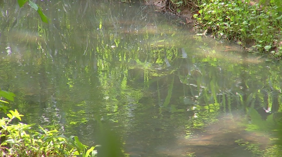 Corpo de recém nascido foi encontrado dentro de um saco de cesta básica em um riacho em Tatuí (Foto: Reprodução/TV TEM)