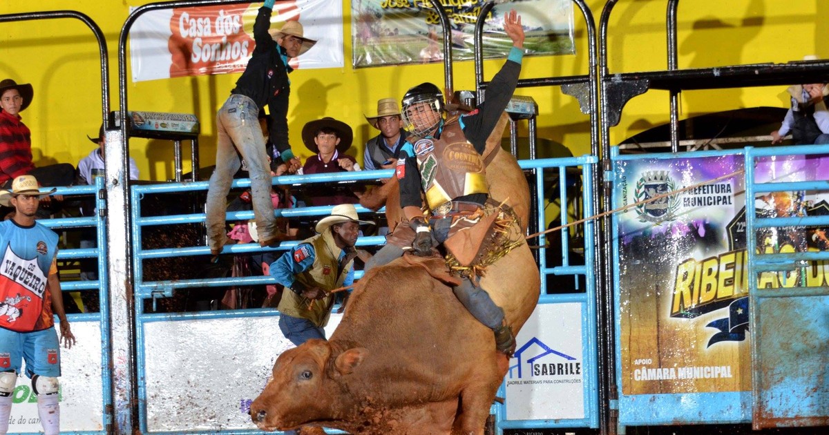 Festa do Peão terá o Circuito Rancho Primavera, melhor competição de rodeio  do país