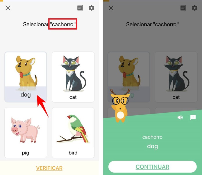 Imagen relacionada