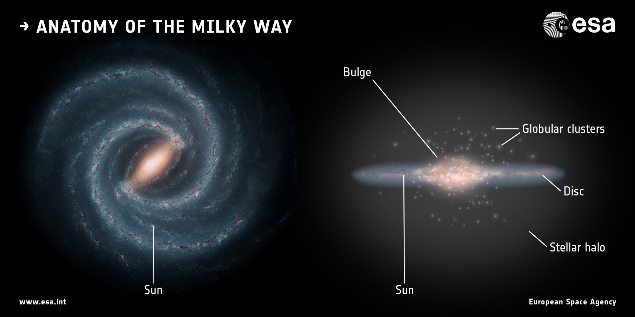 À esquerda, uma ilustração da estrutura espiral do Disco Galáctico da Via Láctea, onde está localizada a maioria das estrelas. À direita,uma visão revela a forma achatada do disco (Foto: ESA)