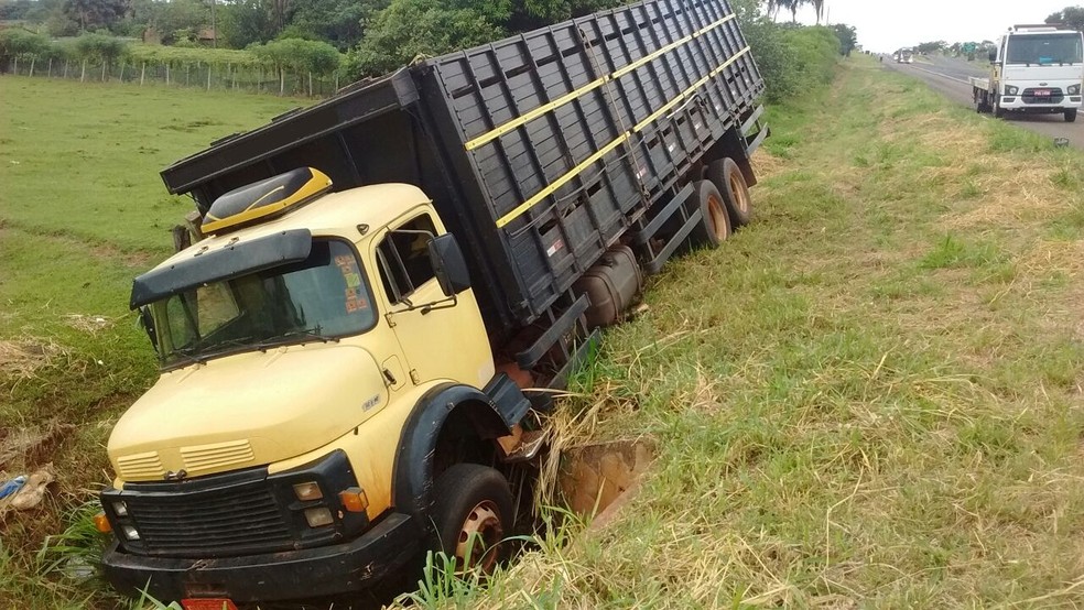 Caminhão carregado com bois cai em canaleta de rodovia em Jales ...
