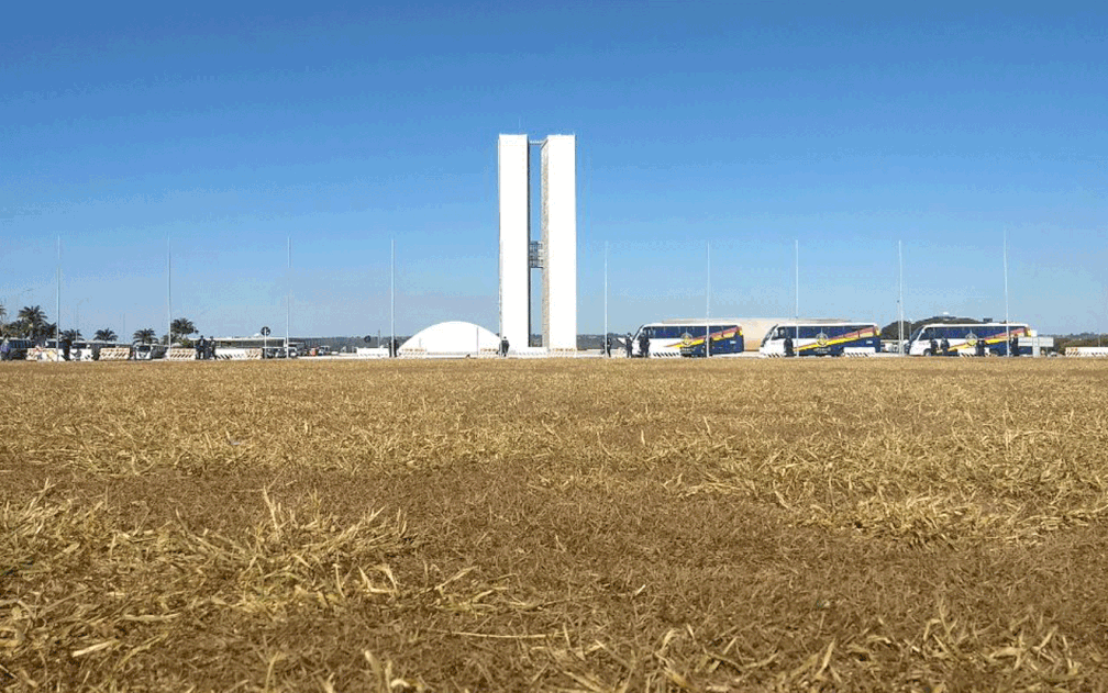 Gramado do Congresso Nacional totalmente vazio durante a sessão. (Foto: Marília Marques/G1)
