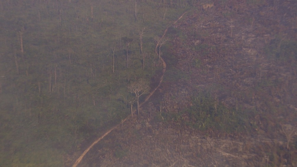 Imagem aérea feita na terça-feira, 16 de agosto de 2022 mostra área de queimada na fronteira do estado de Rondônia com o Amazonas. — Foto: Ruan Gabriel/Rede Amazônica 