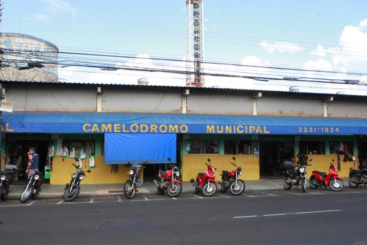Camelódromo Municipal de Uberlândia está com 60 boxes disponíveis para ...