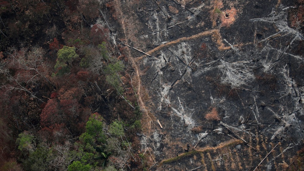 Foto aérea mostra uma parcela desmatada da Amazônia perto de Porto Velho nesta quinta-feira (22)