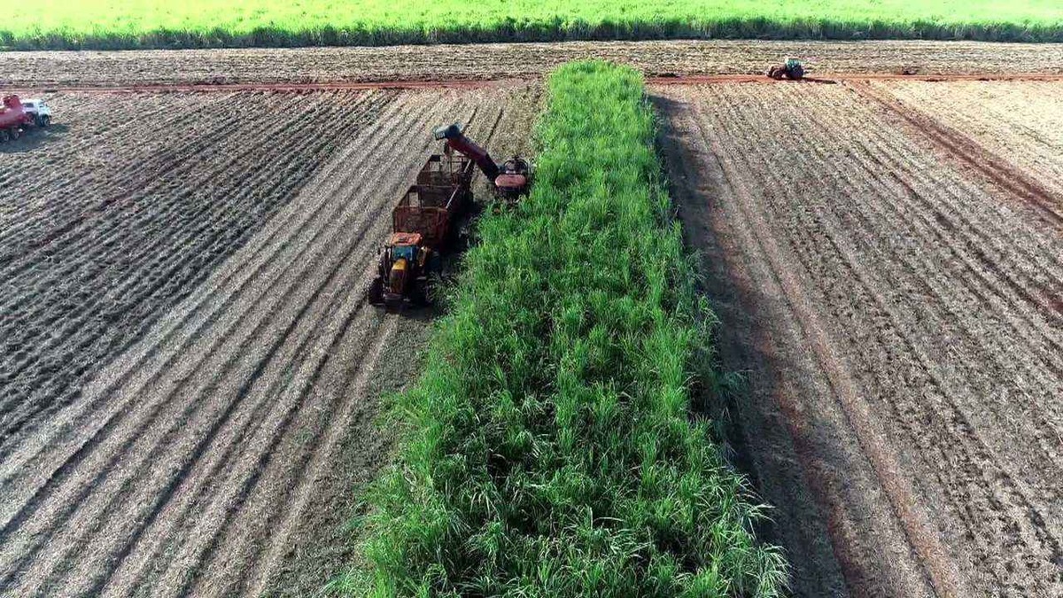 Veja os destaques do Globo Rural deste domingo (17/10/2021)
