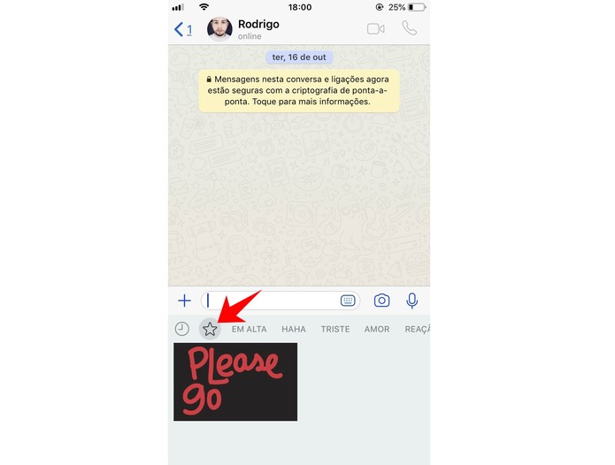 Acesse seus GIFs favoritos do WhatsApp tocando no ícone de estrela (Foto: Reprodução/Rodrigo Fernandes) Acesse seus GIFs favoritos do WhatsApp tocando no ícone de estrela (Foto: Reprodução/Rodrigo Fernandes)