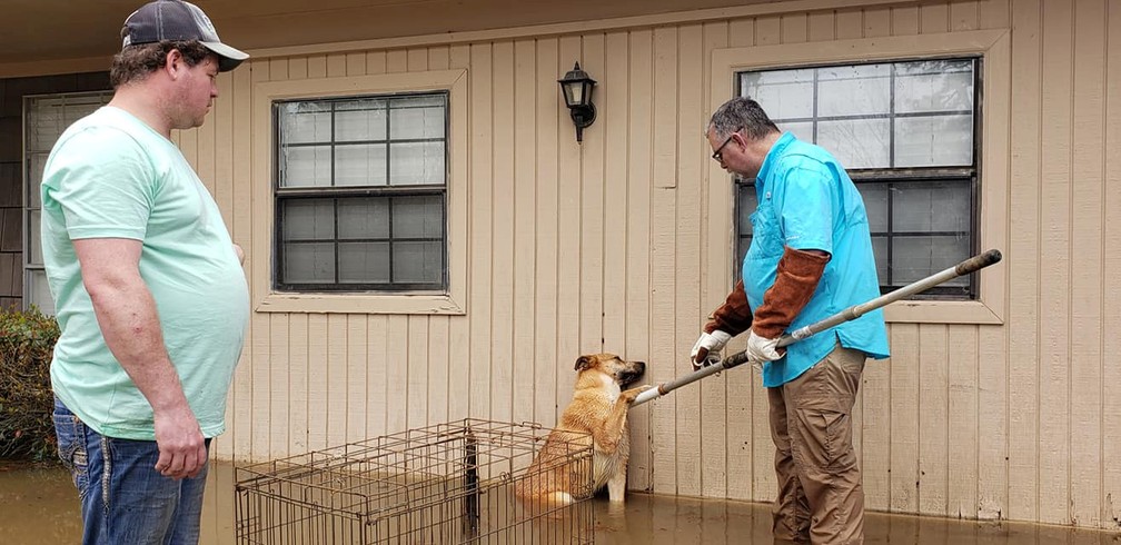 Socorristas resgatam cachorro ilhado em inundação no Mississippi, Estados Unidos, nesta segunda-feira (17) — Foto: Courtesy of Amber Burrus/Social Media via Reuters