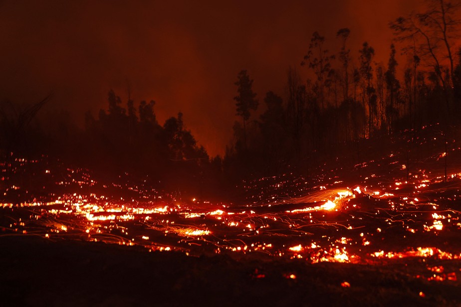 Chile declarou estado de calamidade em várias regiões do centro-sul depois que uma onda de calor devastadora provocou incêndios florestais.