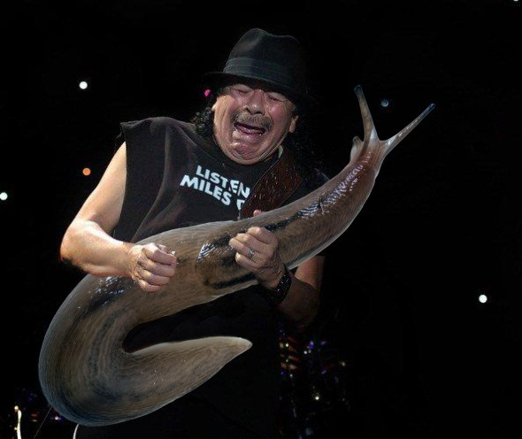 Santana no solo da lesma... Isso é demais!  (Foto: Reprodução)