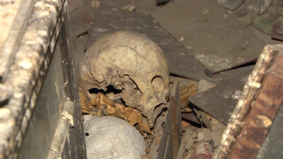 Até mesmo uma ossada estava em meio ao exótico acervo encontrado no prédio abandonado em Copacabana — Foto: TV Globo