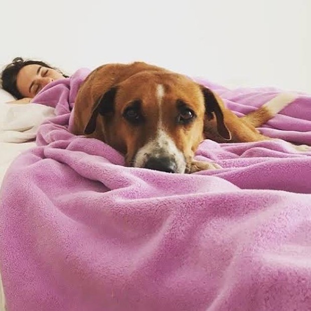 Tatá Werneck lamenta morte do cachorro Nino (Foto: Reprodução / Instagram)
