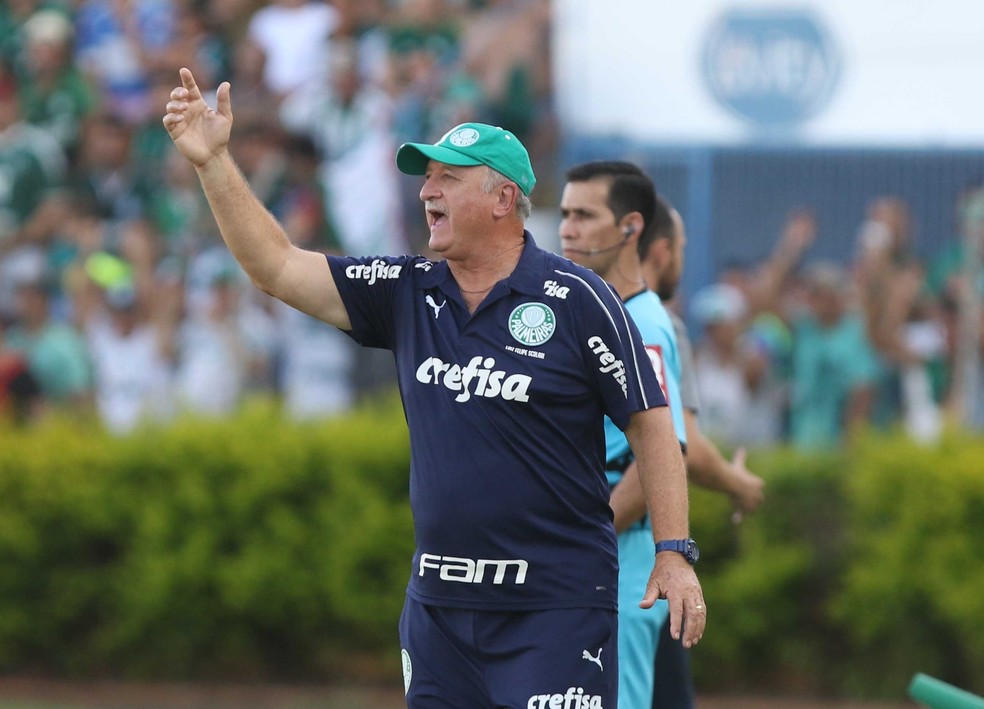 Palmeiras de Felipão tenta sua primeira vitória em clássicos na temporada — Foto: Célio Messias / Estadão Conteúdo