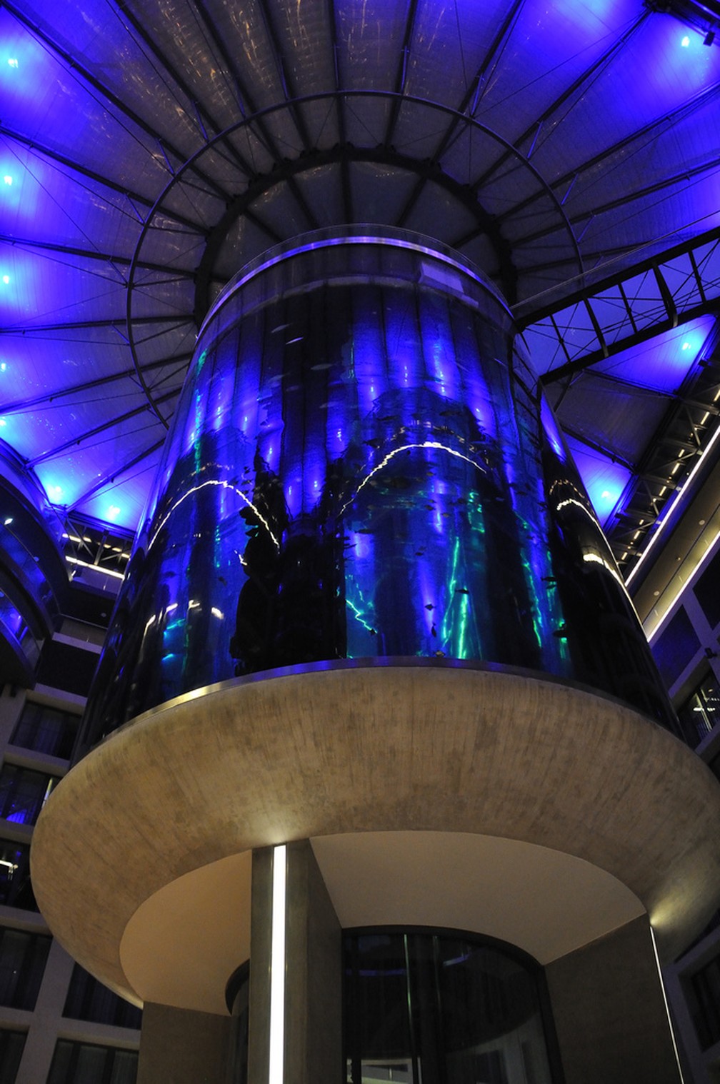 Foto mostra iluminação noturna do AquaDom em 2009 — Foto: Eric Pancer/Arquivo Pessoal