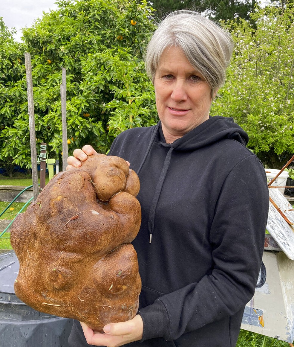 Casal da Nova Zelândia colheu alimento no fim do ano passado e esperava ser a maior batata do mundo — Foto: Donna Craig-Brown via AP