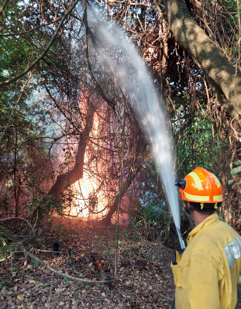 Equipes utilizaram 35 mil litros de água para combater o fogo — Foto: Defesa Civil