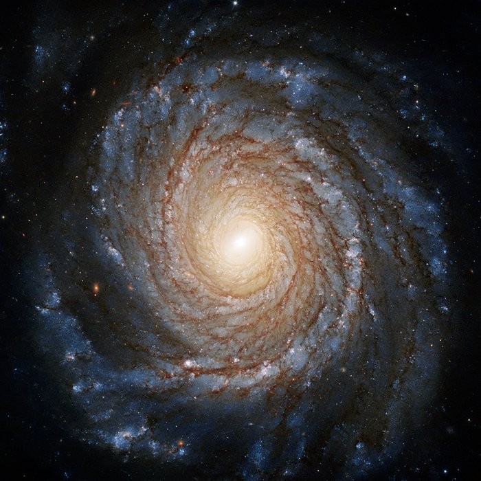 Galáxia NGC 3147 (Foto: ESA/Hubble & NASA, A. Riess et al.)