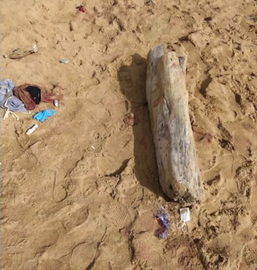 Mochila, cacos de vidro e pedaços de órgão foram achados — Foto: Reprodução/TV Gazeta
