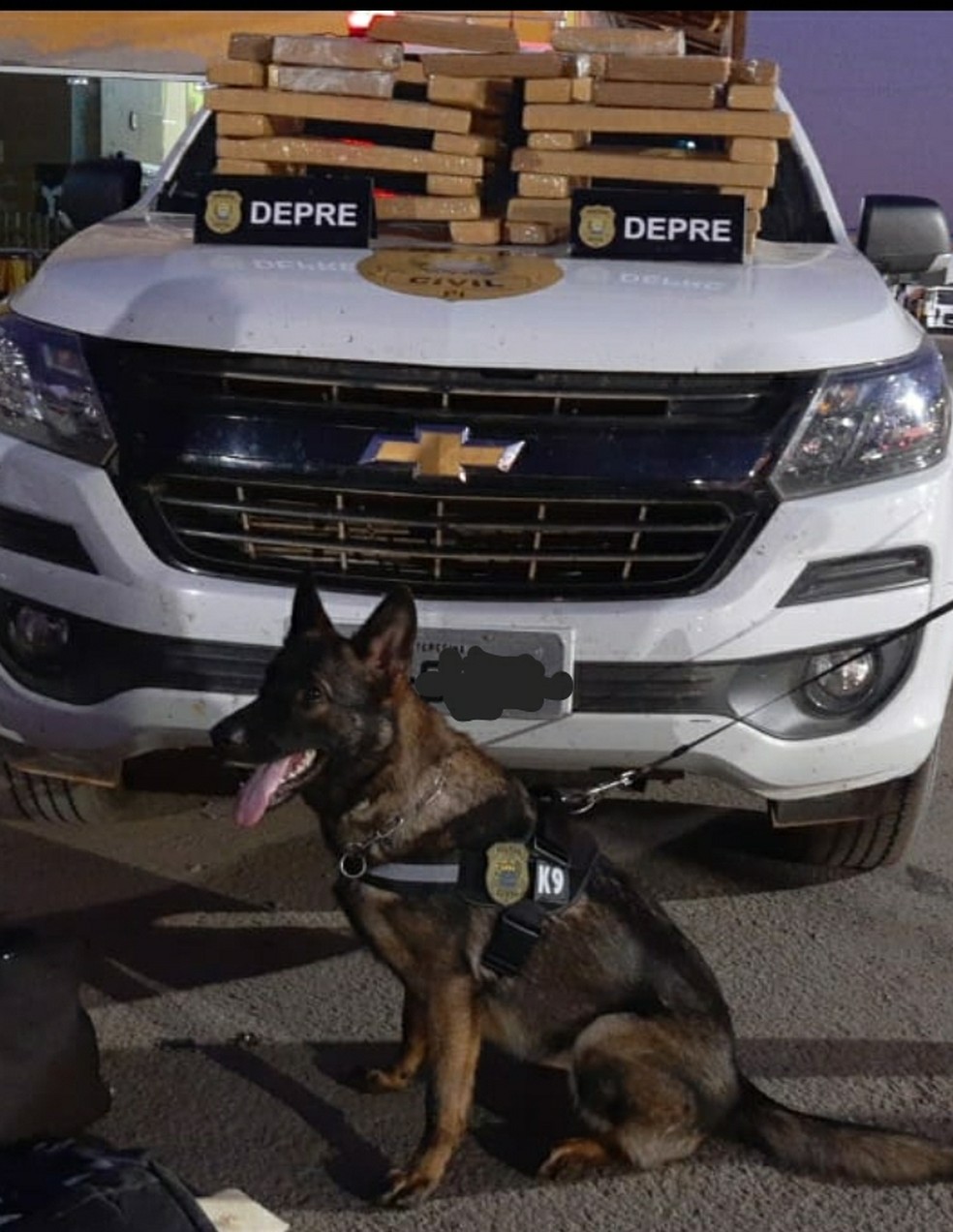 Polícia Civil apreende tabletes de entorpecentes no Sul do Piauí — Foto: Divulgação/Polícia Civil