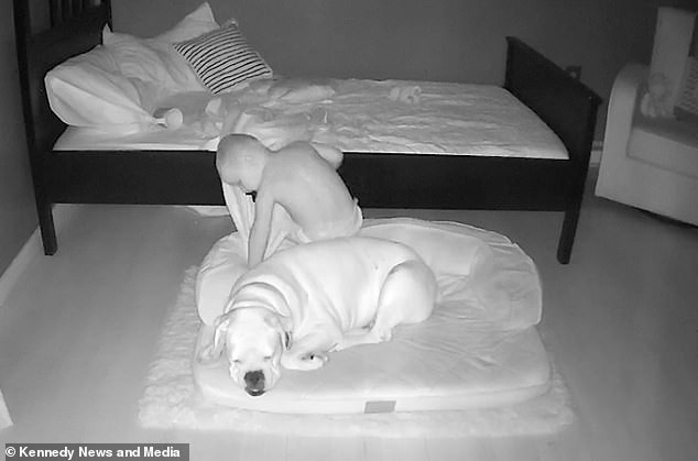 Bebê deixa sua cama para dormir com o cachorro (Foto: Reprodução: Daily Mail/Kennedy News and Media)
