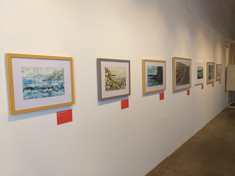 Exposição apresenta vida e obra do artista japonês Takeo Sawada, em Presidente Prudente (SP) — Foto: Heloise Hamada/g1