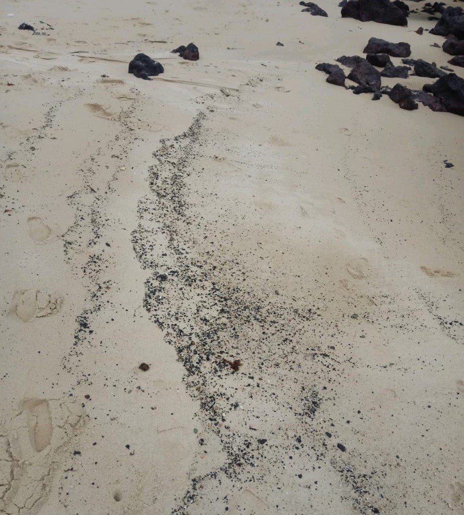 Cinco meses após primeira aparição, vestígios de óleo ainda são encontrados em uma praia do RN thumbnail