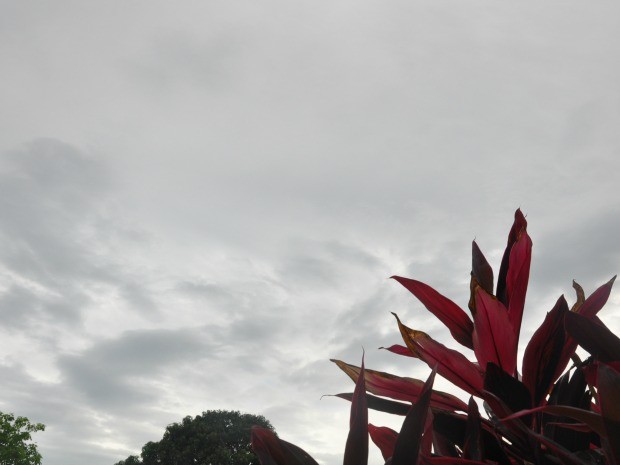 Céu nublado nesta quarta-feira fria em Campo Grande (Foto: Isabela Cavalcante/ G1 MS)