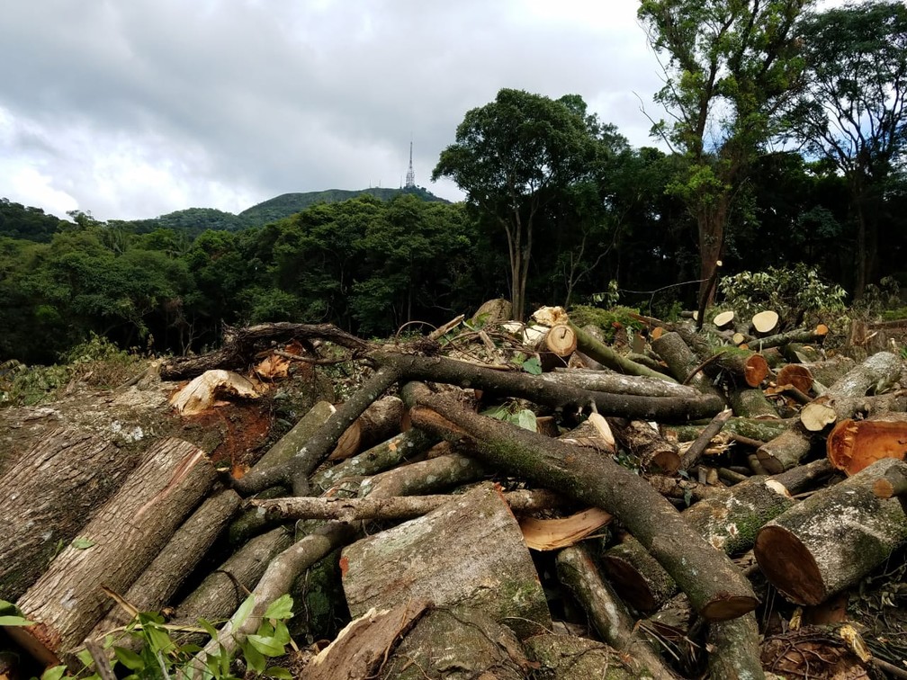 Ao lado de aldeia dos índios Guarani Mbya, no Jaraguá, Zona Norte, um empreendimento derrubou centenas de árvores — Foto: Divulgação/Gabinete do Vereador Gilberto Natalini