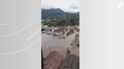 VÍDEO: porcos tentam se abrigar em telhado após passagem de