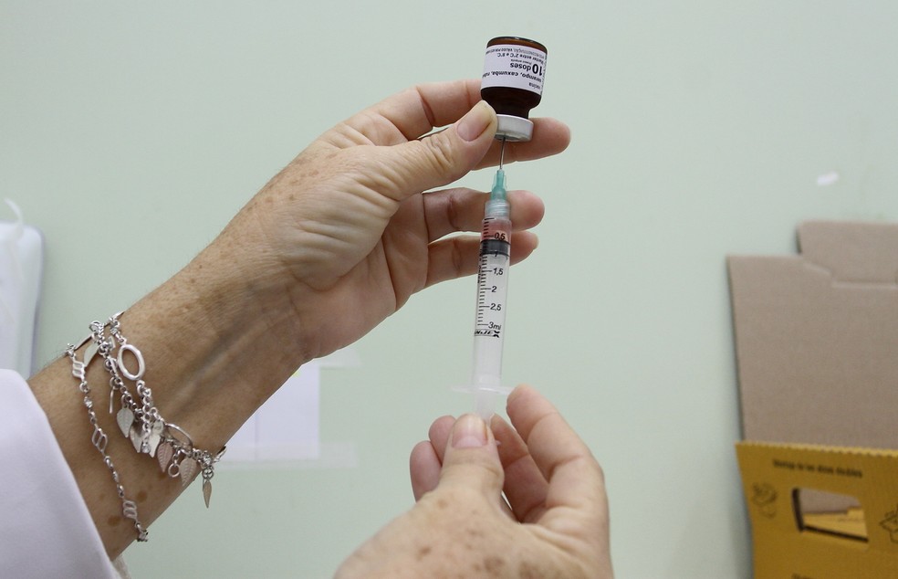 Número de casos de sarampo no Paraná chega a 316 em 2019, diz Sesa — Foto: PMJ/Divulgação