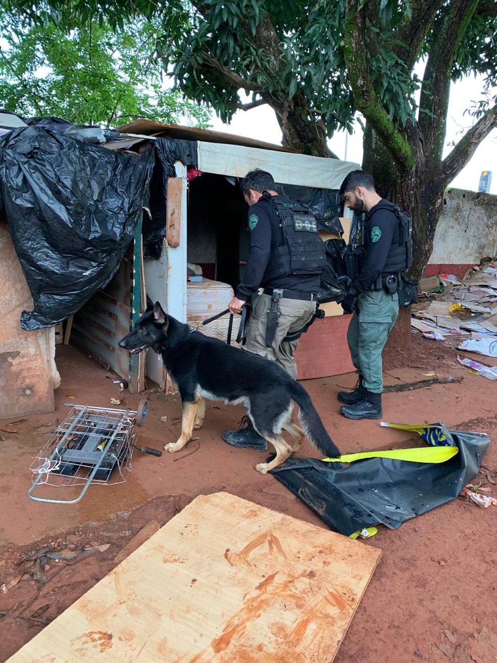 Operação prende suspeitos de roubos a casas e comércios no DF — Foto: PCDF/Divulgação