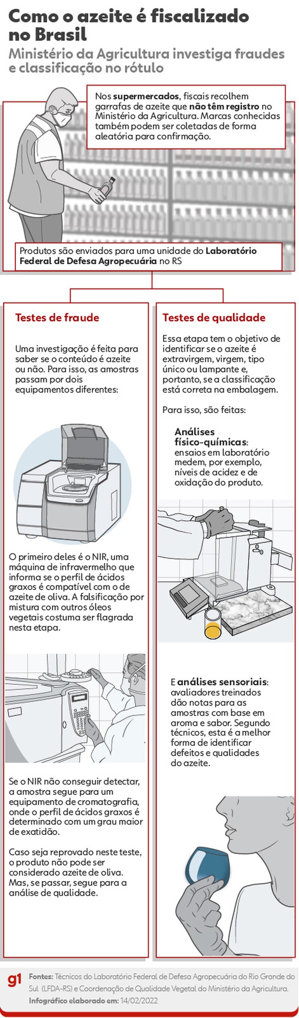 Azeite de oliva extravirgem, virgem ou falso? Entenda como são os testes de  autenticidade | Agronegócios | G1