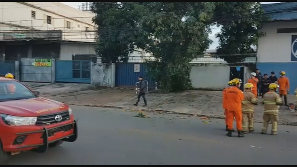 Homem morre após levar choque pegando manga no DF — Foto: Guilherme Timóteo/TV Globo