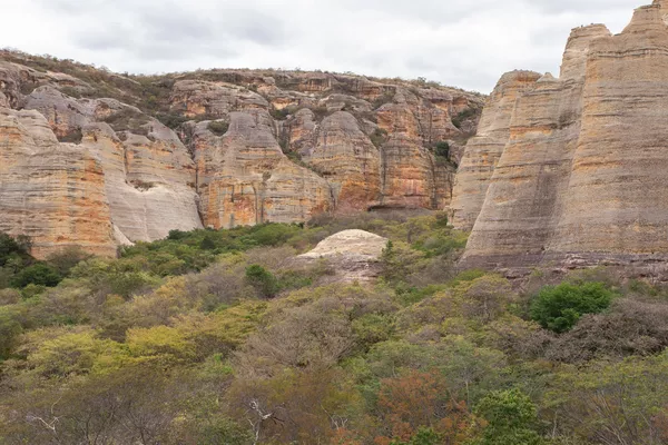 O Parque Nacional da Serra da Capivara reúne espécies de três biomas: além da caatinga, também a Mata Atlântica e a floresta amazônica — Foto: Celso Tavares/G1