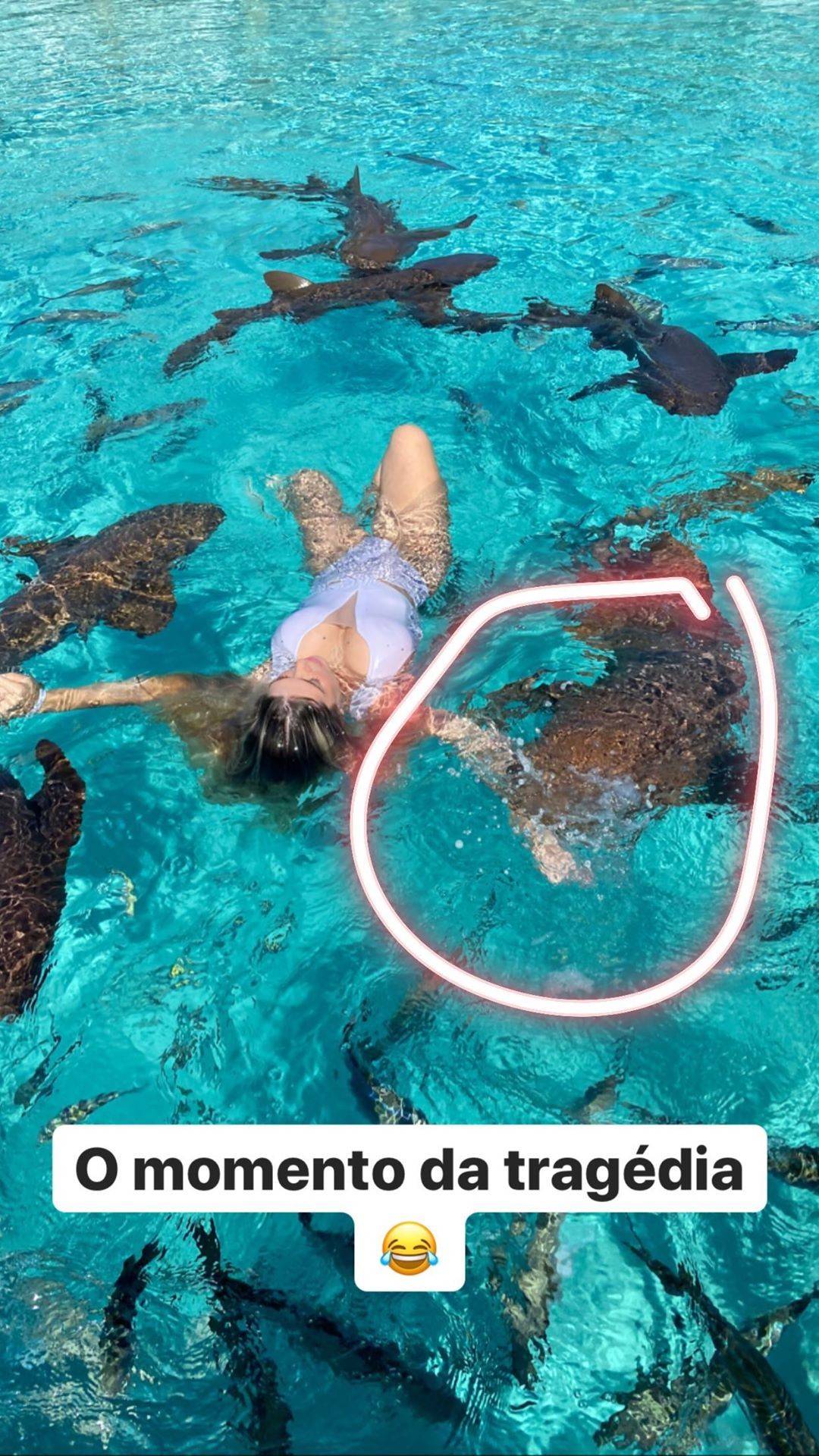 Blogueira é mordida por tubarão enquanto tirava fotos (Foto: Reprodução/Instagram)